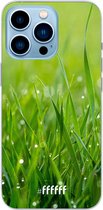 6F hoesje - geschikt voor iPhone 13 Pro Max - Transparant TPU Case - Morning Dew #ffffff