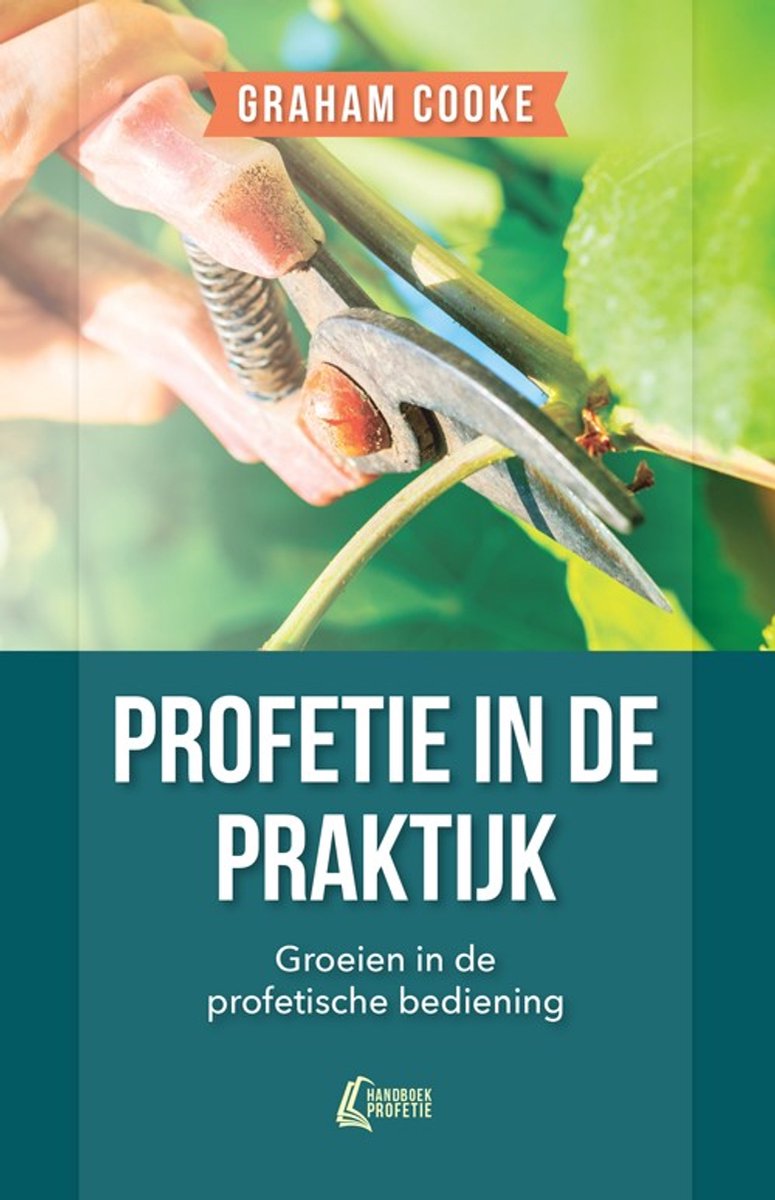 Omslag van Handboek Profetie 2 - Profetie in de praktijk