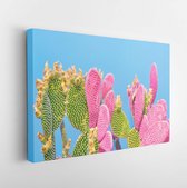 Canvas schilderij - Trendy tropical Cactus plant on Blue Color background. Minimal Art fashionable Concept. Creative cacti Style. -     1158355147 - 80*60 Horizontal