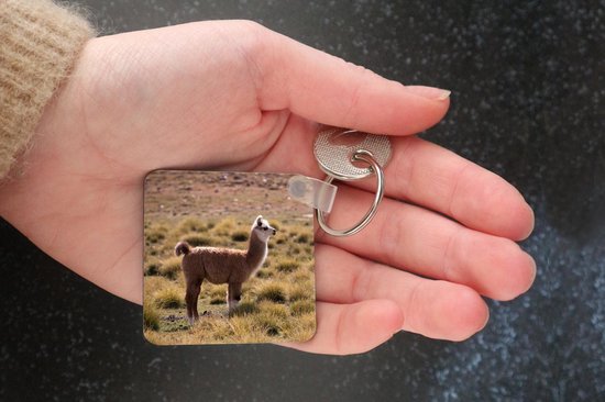 Porte-clés - Cadeaux - Alpaga - Herbe - Animal - Plastique