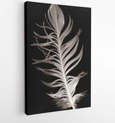 Canvas schilderij - Feather on a black background  -   246075502 - 50*40 Vertical