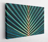 Canvas schilderij - Palm leaf stripes, Abstract green texture background, Vintage tone  -     552419902 - 50*40 Horizontal