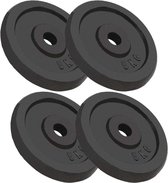 Everest Halterschijven 4 st 4x5 kg gietijzer
