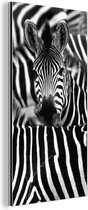 Wanddecoratie Metaal - Aluminium Schilderij Industrieel - Zebra zwart-wit fotoprint - 80x160 cm - Dibond - Foto op aluminium - Industriële muurdecoratie - Voor de woonkamer/slaapkamer