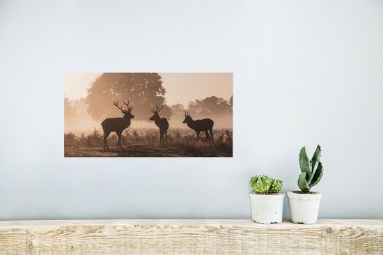 Affiche Cerf - Brouillard - Forêt - 40x20 cm