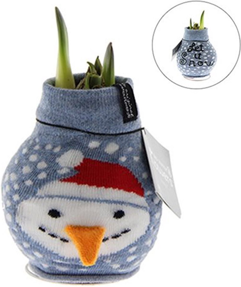 Wax Amaryllis Fashionz Xmas Sneeuwpop | Prachtige Wax Amaryllis voor in huis |