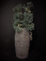 Brynxz jug basic