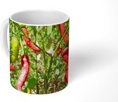 Mok - Chilipepers aan een boom - 350 ML - Beker