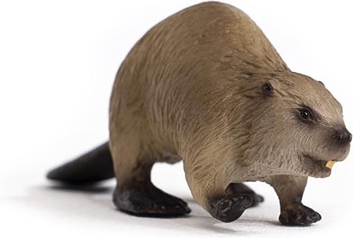 schleich WILD LIFE - Bever - 14855 — afbeelding 10