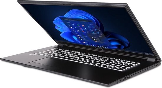 Terra Mobile BTO 1716R 17.3" FullHD laptop - Intel Core i3-1315U - 64GB - 1.0TB M.2 SSD - DVD±RW - Windows 11 Pro
