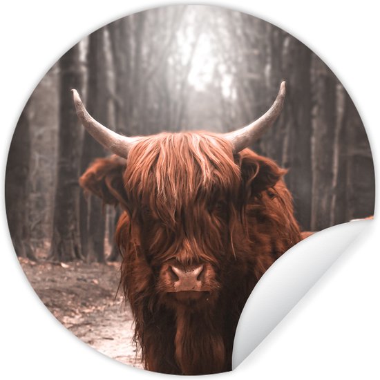 WallCircle - Muurstickers - Behangcirkel - Schotse hooglander - Bos - Koe - Dieren - Natuur - ⌀ 140 cm - Muurcirkel - Zelfklevend - Ronde Behangsticker