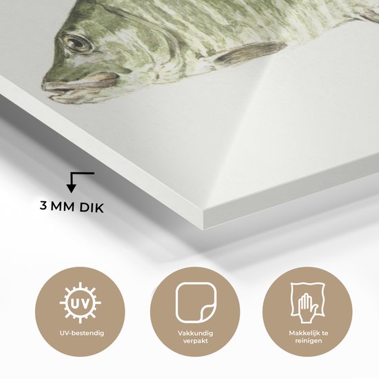 MuchoWow® Peinture sur Verre - Brochet - Peinture de Jean Bernard - 40x20 cm - Peintures sur Verre Acrylique - Photo sur Glas