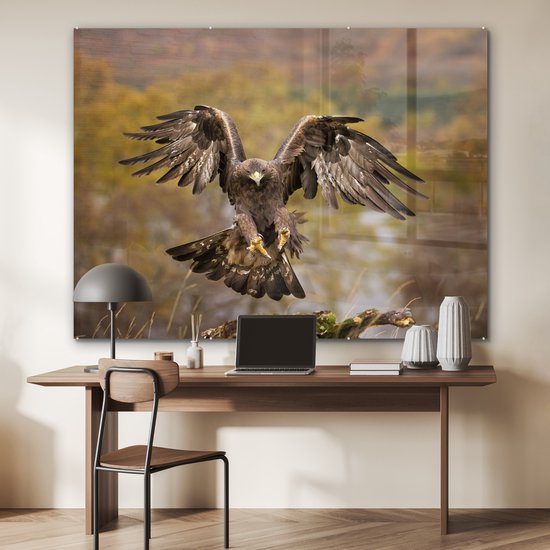 Atterrissage aigle royal aux ailes courbes Plexiglas 160x120 cm - Tirage photo sur Glas (décoration murale plexiglas) XXL / Groot format!