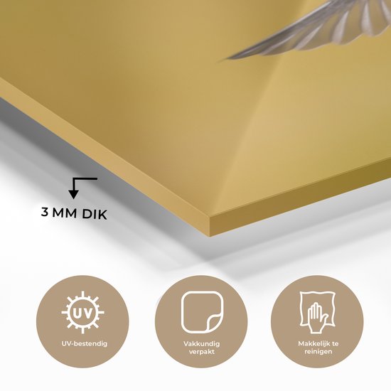 Un colibri calliope sur fond jaune Plexiglas 60x40 cm - Tirage photo sur Glas (Décoration murale plexiglas)