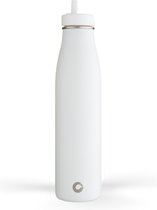 Drinkfles Ecobotl - Evolution collectie - 800ml - White - Waterfles - Drinkfles - Roestvrijstaal - Geïsoleerd - Sportdop met rietje - Duurzaam