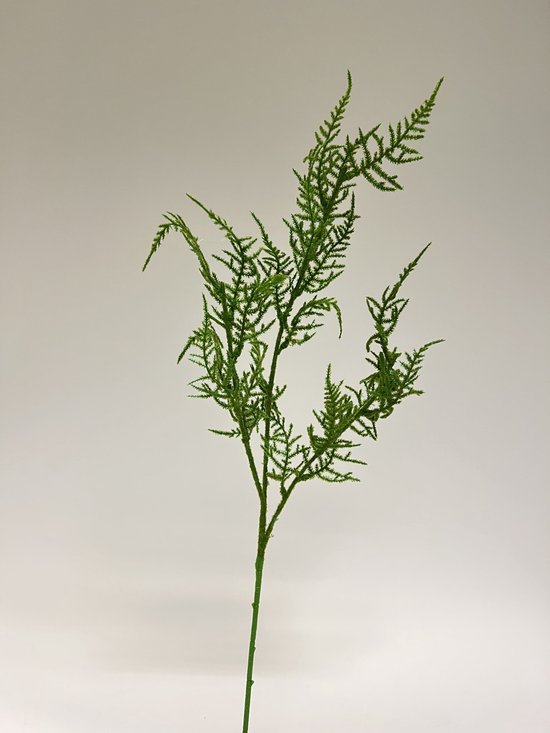 Zijden kunstbloem Asparagus Tak | Groen | Lengte 69 centimeter