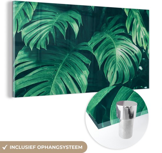 MuchoWow® Glasschilderij 40x20 cm - Schilderij acrylglas - Monstera - Bladeren - Planten - Jungle - Natuur - Foto op glas - Schilderijen