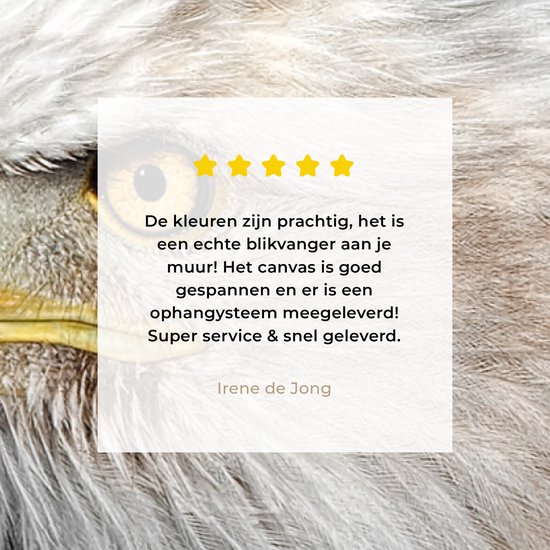 Tableau Toile Aigle - Vogel - Bec - Yeux - 160x80 cm - Décoration murale