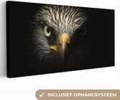 Tableau sur toile Vogel - Aigle - Rapaces - Oeil - Bec - Lumière - 160x80 cm - Décoration murale