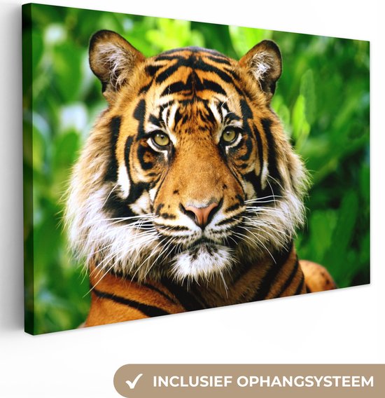 Toile de jungle tigre de Sumatra 80x60 cm - Tirage photo sur toile (Décoration murale salon / chambre) / Peintures sur toile Animaux