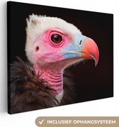 Canvas Schilderij Gier - Vogel - Snavel - 40x30 cm - Wanddecoratie