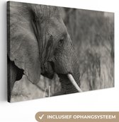 Toile éléphant Zwart et blanc 2cm 30x20 cm - petit - Tirage photo sur toile (Décoration murale salon / chambre) / animaux sauvages Peintures sur toile