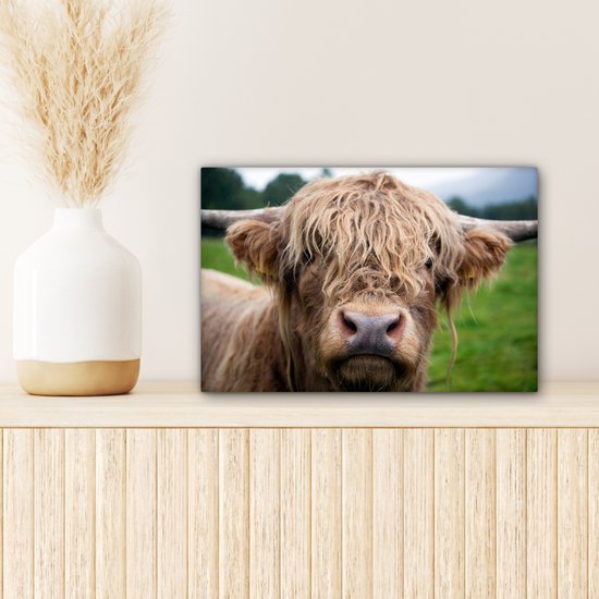 Toile Highlander écossais poilue 2cm