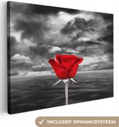 Canvas Schilderij Zwart-wit foto van een rode roos, tegen een zee en een bewolkte lucht - 80x60 cm - Wanddecoratie