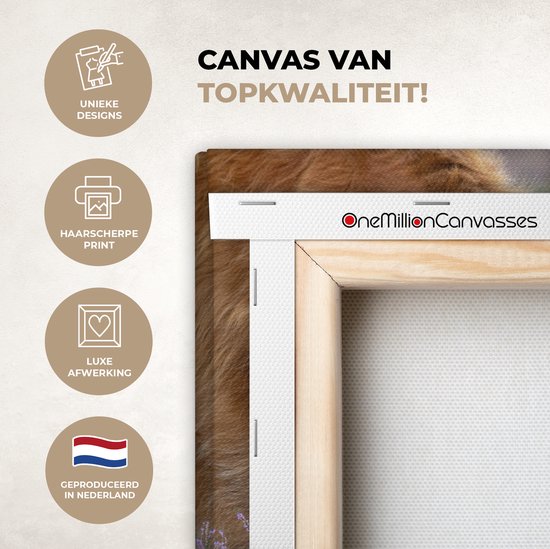 Tableau sur toile Scottish Highlander - Animaux - Bruyère - 40x30 cm - Décoration murale