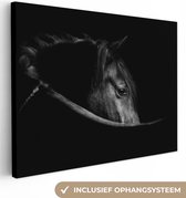 Canvas schilderij - Dier - Paard - Natuur - Woondecoratie - Canvas - 120x90 cm - Foto op canvas - Woonkamer
