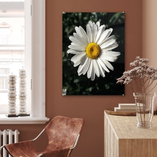 MuchoWow® Peinture sur Verre - Marguerite - 60x80 cm - Peintures sur Verre Acrylique - Photo sur Glas