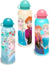 Disney Frozen Aluminium Drinkfles / Schoolfles / Schoolbeker - 500 ml. (1 stuks)
