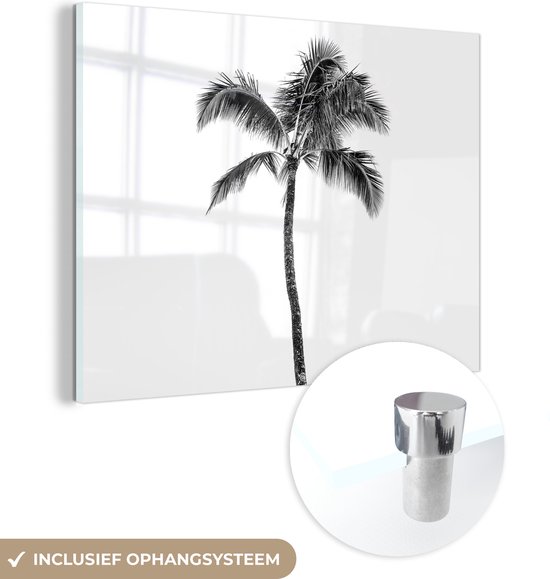 MuchoWow® Glasschilderij 120x90 cm - Schilderij acrylglas - Palmboom - Tropisch - Zwart wit - Foto op glas - Schilderijen