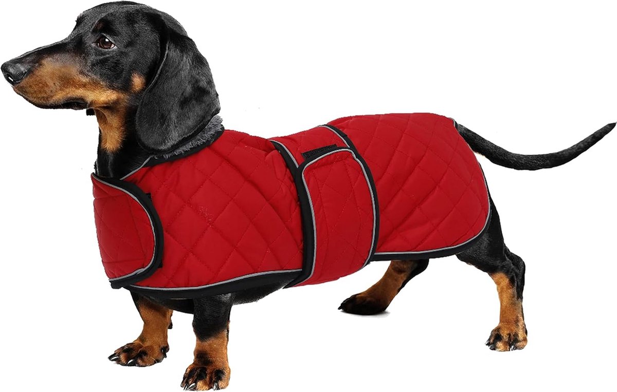 Teckeljas waterdicht, perfect voor teckelworst, puppy winterjas met Teckeljas waterdicht, perfect voor teckelworst, puppy winterjas met