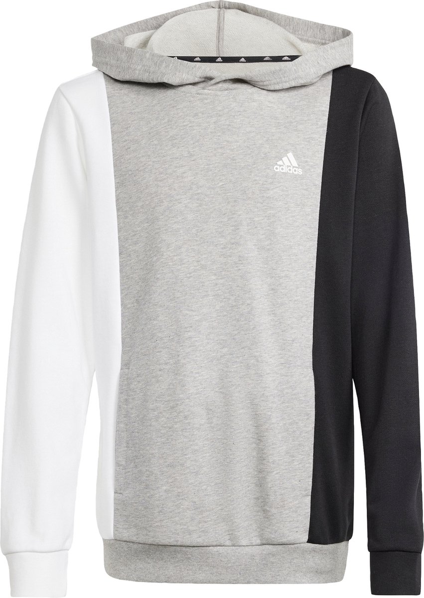adidas Sportswear Essentials Colorblock Hoodie Kids Kinderen Grijs