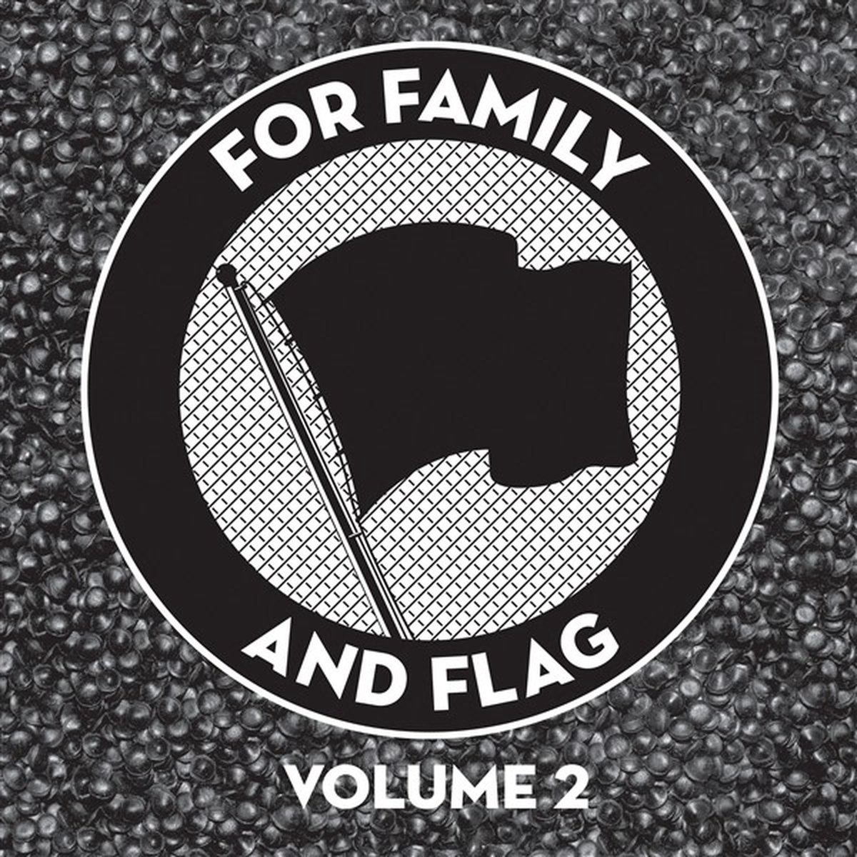 Various Artists - For Family And Flag 2 (LP)