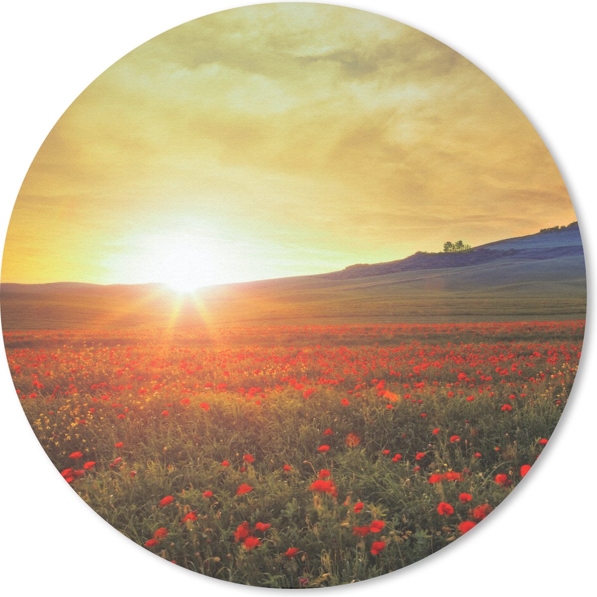 Muismat - Mousepad - Rond - Italië - Zonsondergang - Klaproos - 50x50 cm - Ronde muismat
