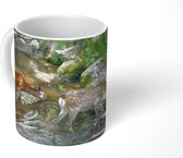 Mok - Herten - Water - Mos - 350 ML - Beker - Uitdeelcadeautjes