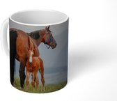 Mok - Paard - Veulen - Berg - 350 ML - Beker - Uitdeelcadeautjes