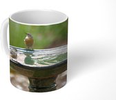 Mok - Vogelbad - Vogel - Water - 350 ML - Beker - Uitdeelcadeautjes