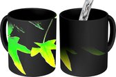 Magische Mok - Foto op Warmte Mok - De hedera bloemen op een zwarte achtergrond - 350 ML - Uitdeelcadeautjes