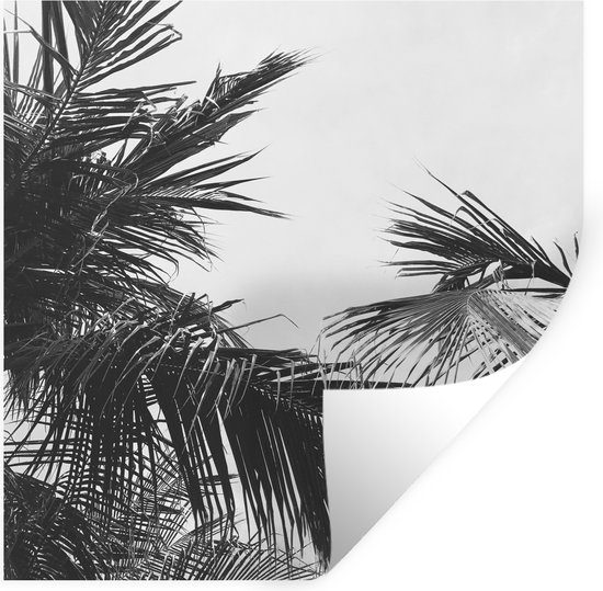 Muurstickers - Sticker Folie - Palmbladeren - Natuur - Vintage - Palmboom - 100x100 cm - Plakfolie - Muurstickers Kinderkamer - Zelfklevend Behang XXL - Zelfklevend behangpapier - Stickerfolie