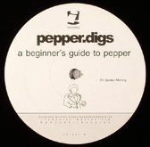 A Beginner's Guide To Pepper