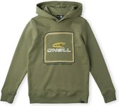 O'Neill Sweatshirts Boys ALL YEAR HOODIE Deep Lichen Green 164 - Deep Lichen Green 70% Cotton, 30% Recycled Polyester
