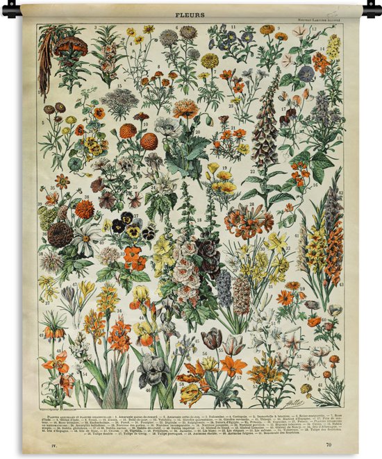 Tapisserie - Tapisserie - Fleurs - Plantes - Vintage - Adolphe Millot - Art - 90x120 cm - Tapisserie