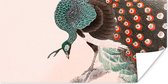 Poster Pauw - Veren - Japans - Vintage - 120x60 cm