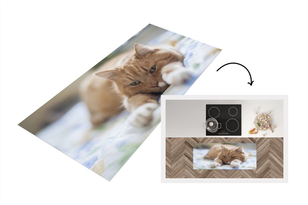 KitchenYeah Keukenloper - Loper keuken - Kat - Bed - Bedsprei - 120x50 cm - Keukenloper vinyl Multicolor