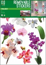 muursticker Orchid 50 x 70 cm vinyl roze/paars/groen