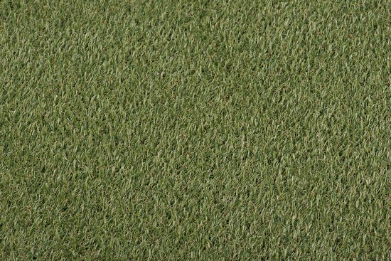 Tapiso Natural Garden Kunstgras Tuin Balkon Terrace Outdoor Buiten Maat- 200x100