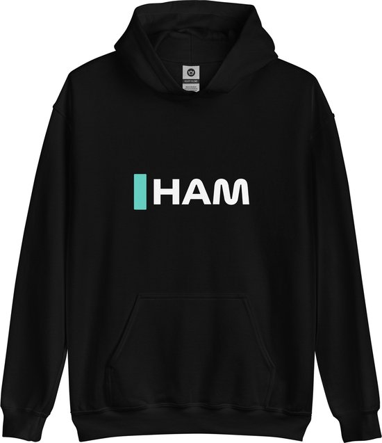 Mos lengte Omgeving Hoodie Sweater | Lewis Hamilton | Formule 1 | F1 | Mercedes | Grand Prix |  Merchandise... | bol.com